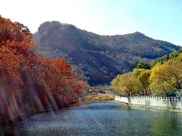 管家婆黑白马报图库，王永胜